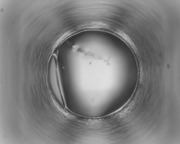 X0000057090850200510071909