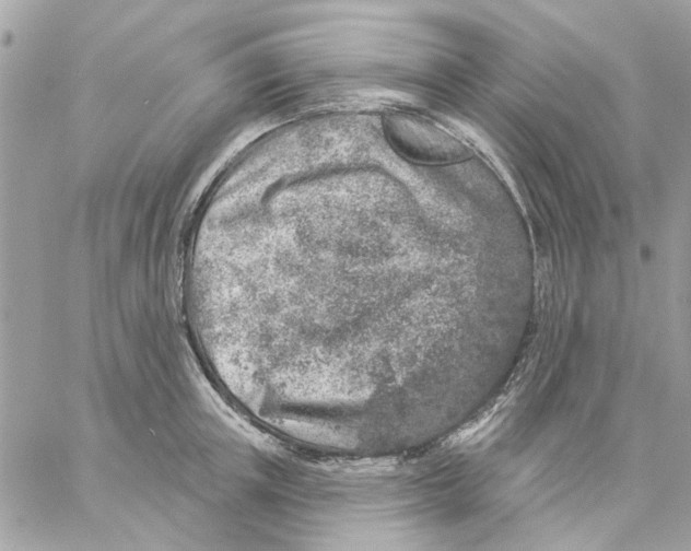 X0000057090851200510071909