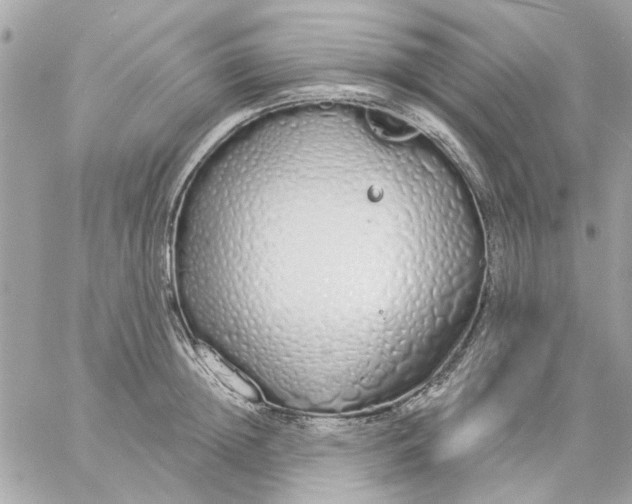 X0000057090852200510071909