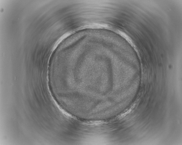 X0000057090853200510071909