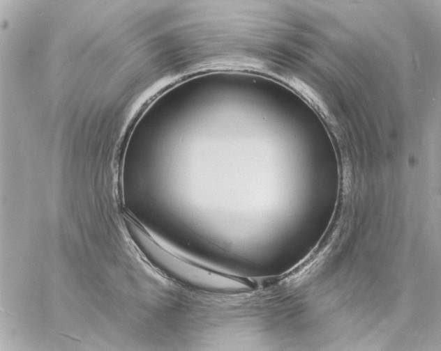 X0000057090854200510071909