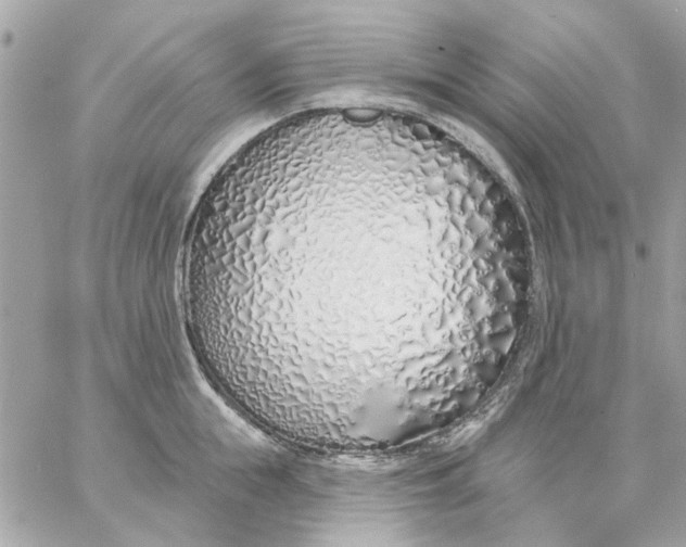 X0000057090855200510071909