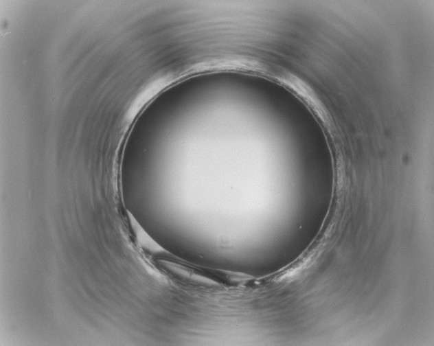 X0000057090858200510071909