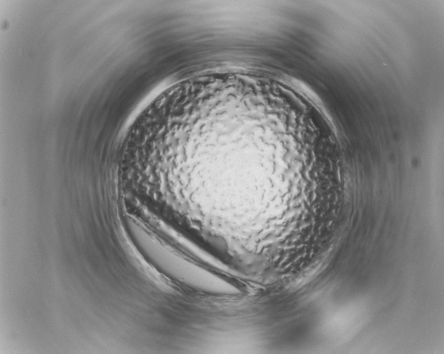 X0000057090859200510071909