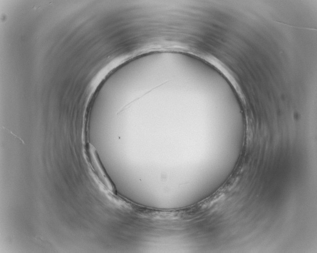 X0000057090861200510071909