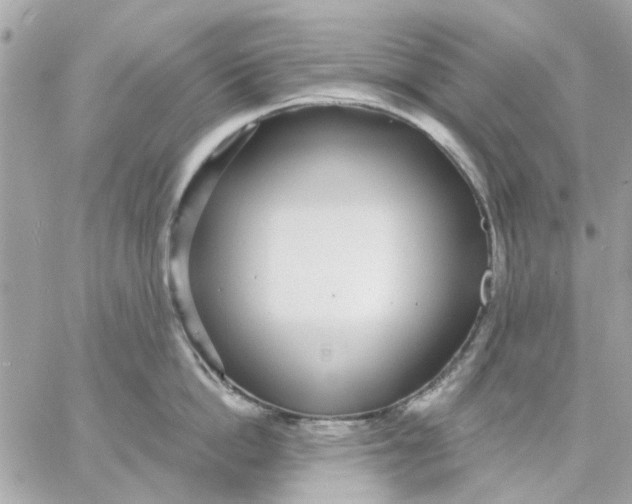 X0000057090862200510071909