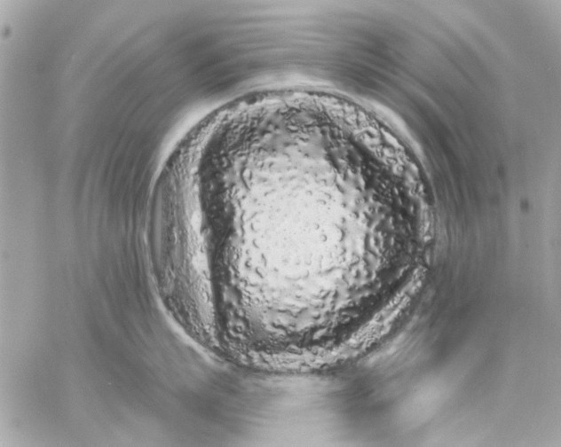 X0000057090863200510071909