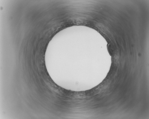 X0000057090865200510071909