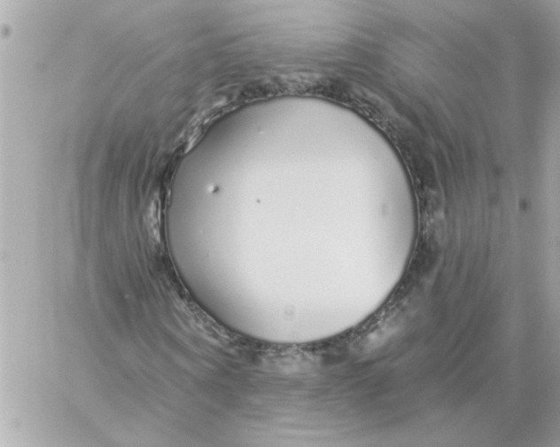 X0000057090866200510071908