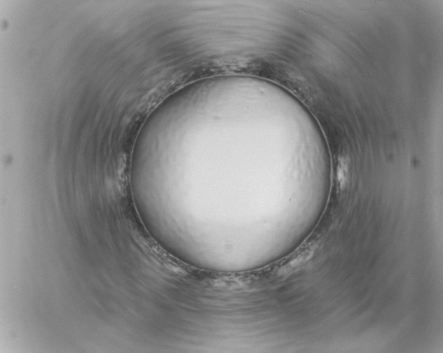 X0000057090867200510071908