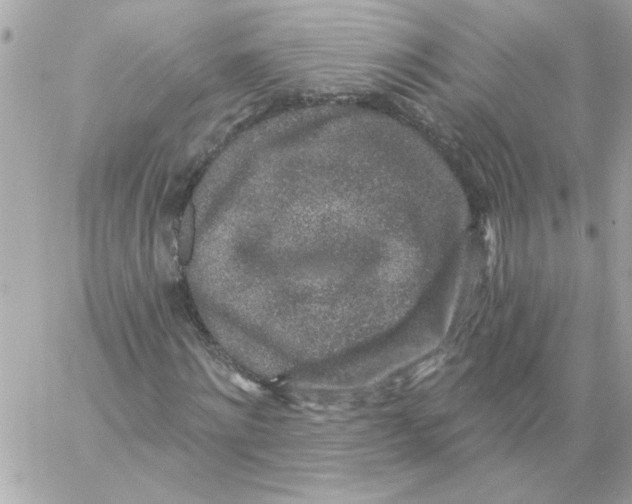 X0000057090868200510071908