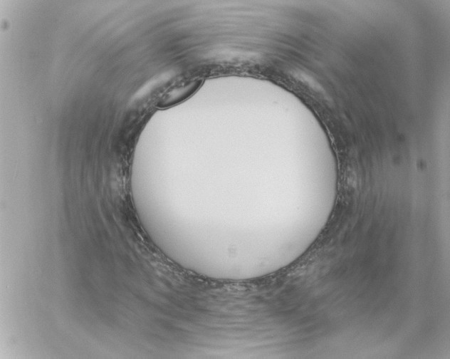 X0000057090869200510071908