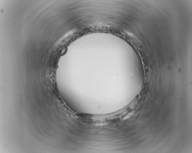 X0000057090870200510071908