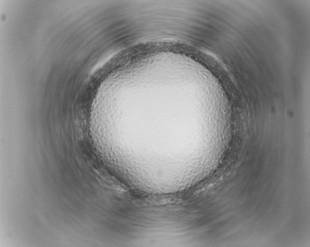 X0000057090871200510071908