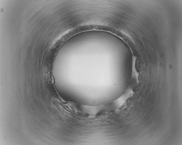 X0000057090872200510071908