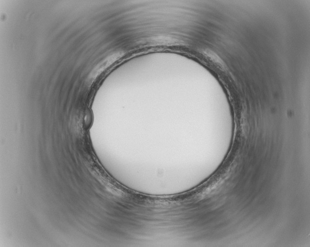 X0000057090873200510071908