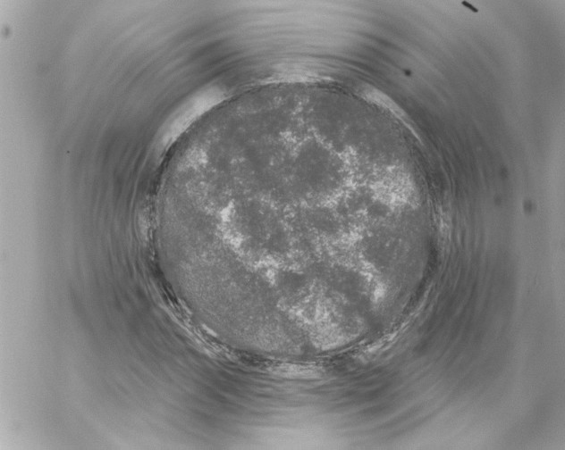 X0000057090874200510071908