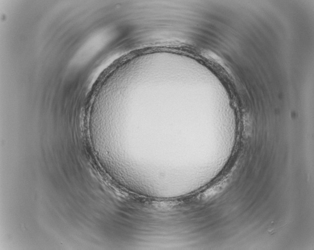 X0000057090875200510071908