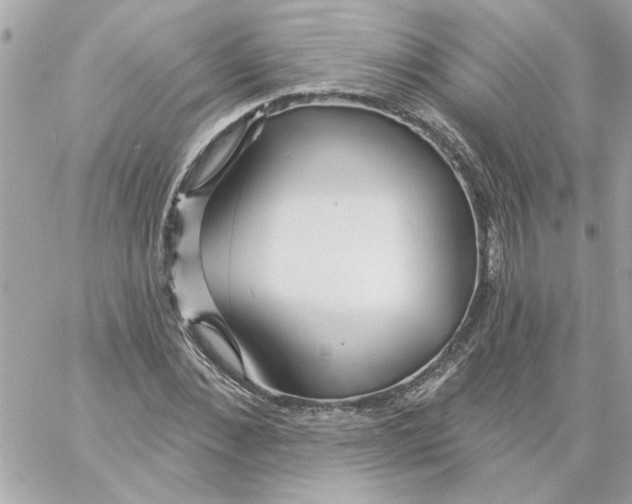 X0000057090876200510071908