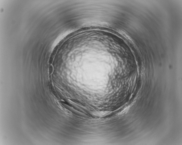 X0000057090877200510071908