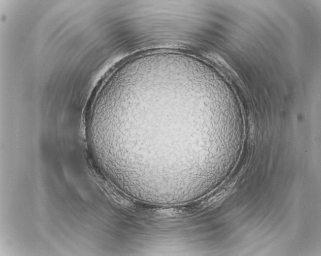 X0000057090883200510071908