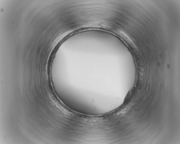 X0000057090884200510071908