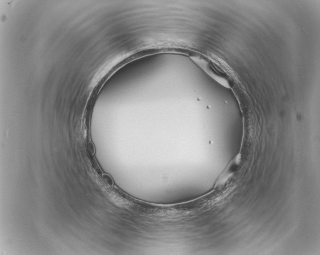 X0000057090885200510071908