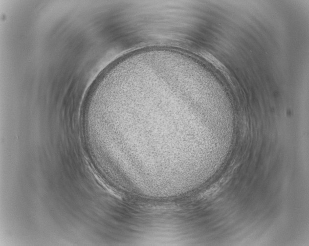 X0000057090886200510071908