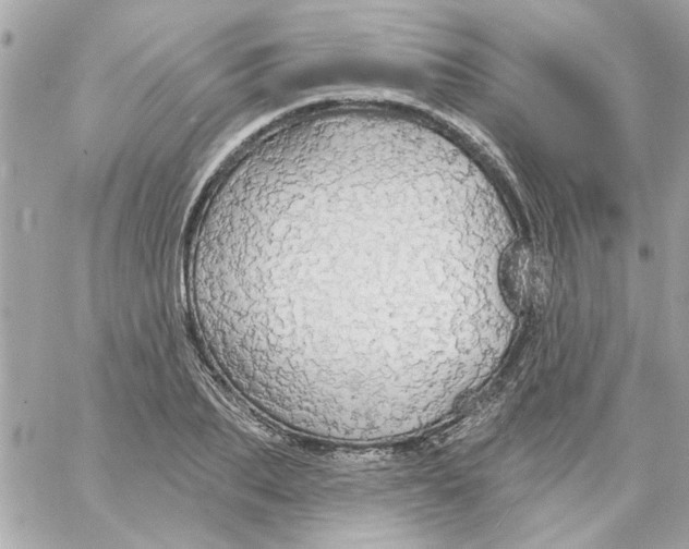 X0000057090887200510071908