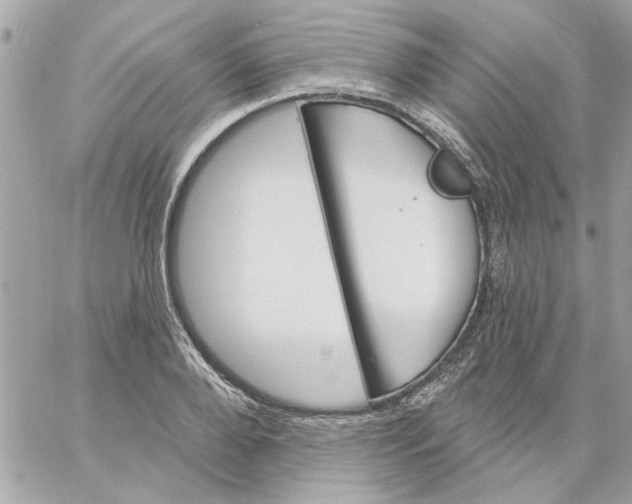 X0000057090888200510071908