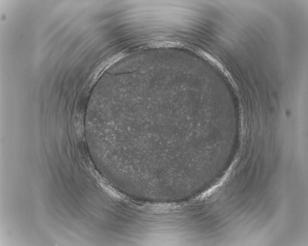 X0000057090889200510071908