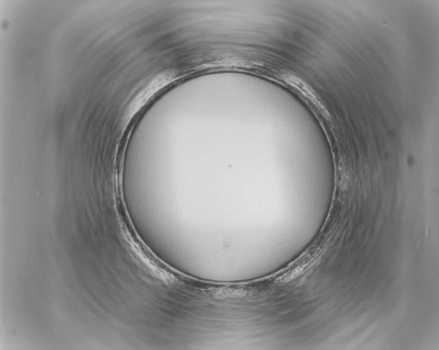 X0000057090890200510071908