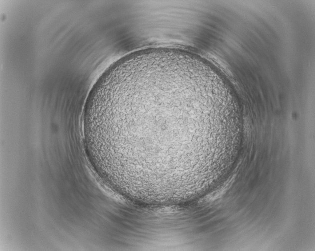 X0000057090891200510071908