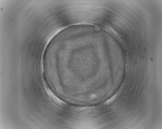 X0000057090892200510071908