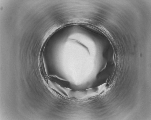 X0000057090893200510071908