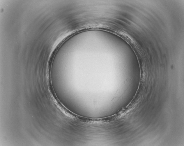 X0000057090894200510071908