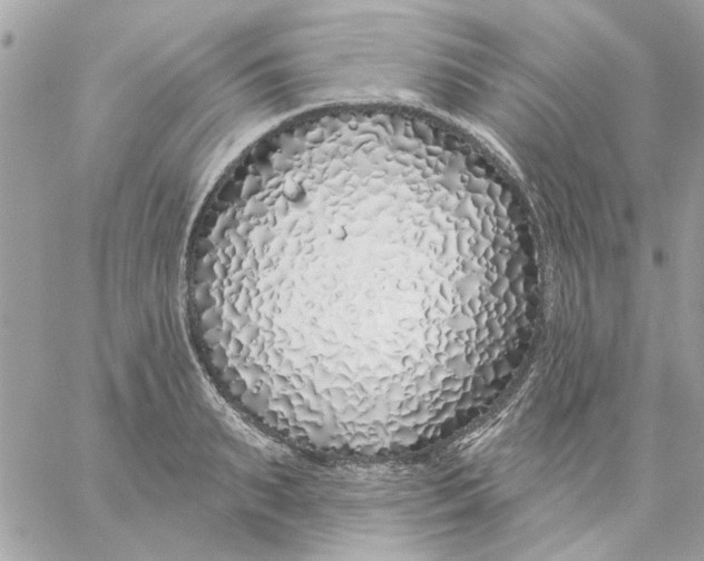 X0000057090895200510071908