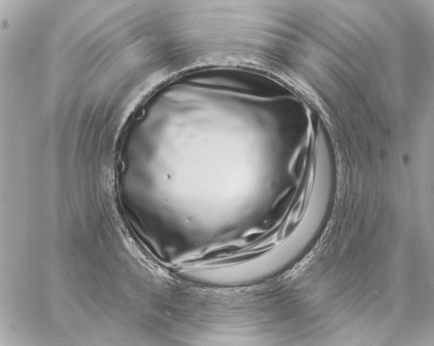 X0000057090896200510071908