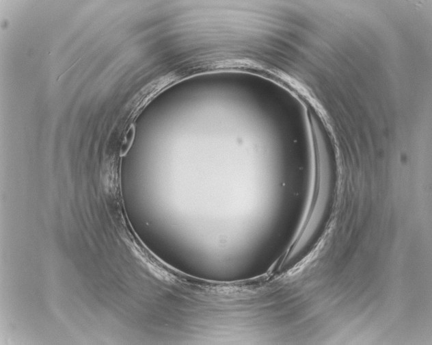 X0000057090897200510071908