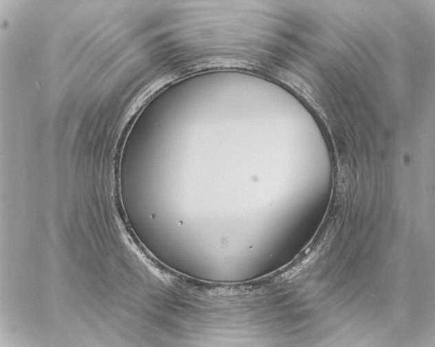 X0000057090898200510071908