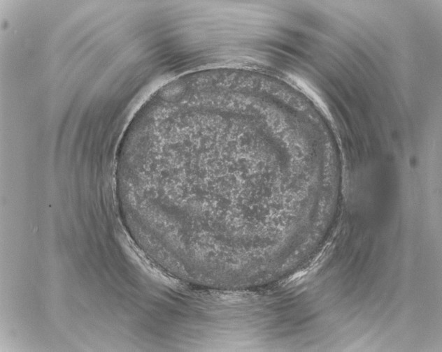 X0000057090899200510071908