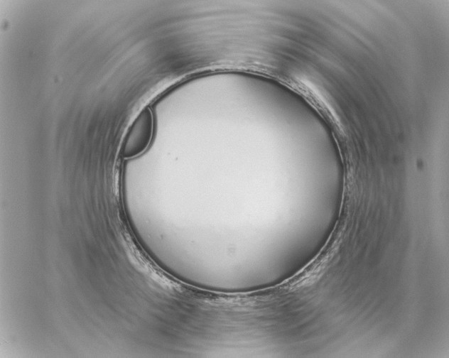 X0000057090900200510071908