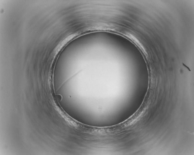 X0000057090901200510071908