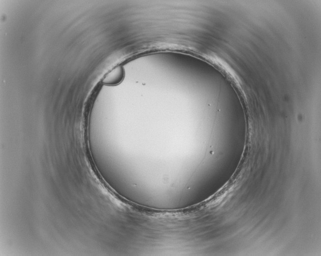 X0000057090902200510071908