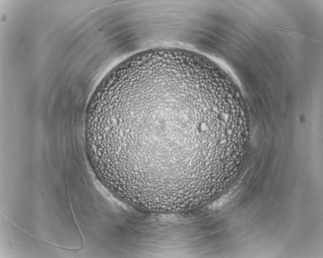 X0000057090903200510071908