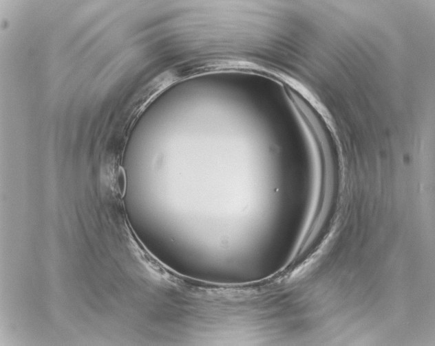 X0000057090905200510071908