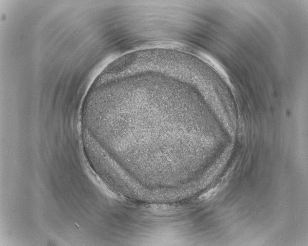 X0000057090907200510071908