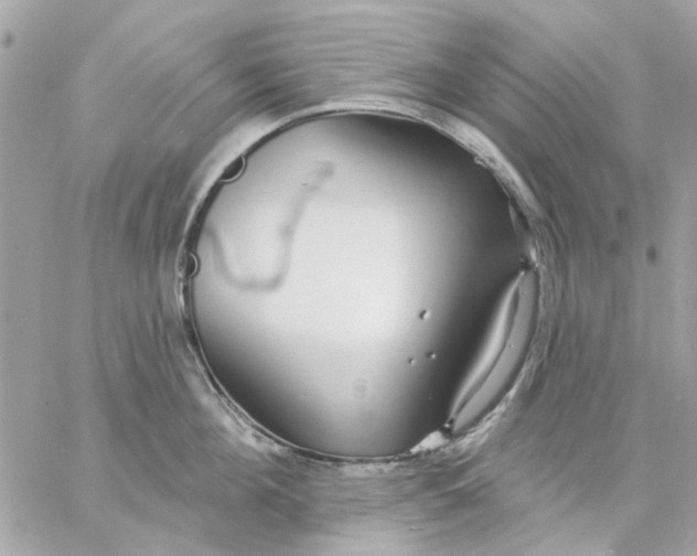 X0000057090908200510071908