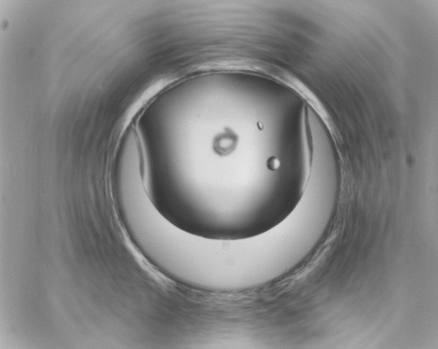 X0000057090909200510071908