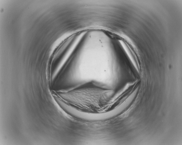 X0000057090910200510071908